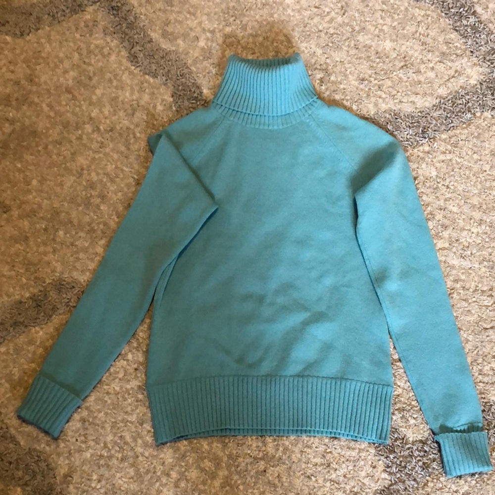 Banana Republic Fine Italian Merino Sweater